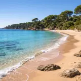 La plage de l'Argentière, avec ses eaux turquoise et sa pinède luxuriante, invite à la détente. Sable doré, rochers et mer scintillante.