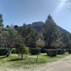 Paysage verdoyant des Baronnies Provençales sous un ciel bleu éclatant, avec des arbres, des buissons taillés et une montagne en arrière-plan.