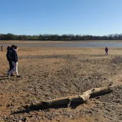 Des promeneurs explorent le lit asséché du lac de Vioreau, un paysage désertique sous un ciel bleu. Un tronc d'arbre repose sur le sable.