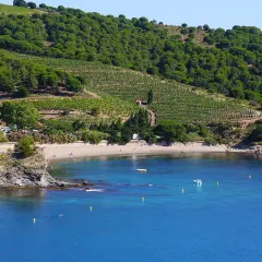 Vue sur la côte rocheuse et la plage, avec des vignobles en terrasses sur la colline. Un aperçu des étapes GR10 depuis Banyuls.