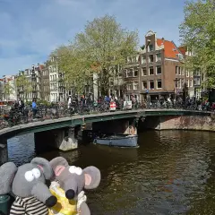 Deux peluches éléphants profitent des activités à découvrir à Amsterdam : un pont animé, des canaux et des maisons typiques.