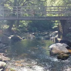 Pont en bois au-dessus d'une rivière rocheuse à Stangala Quimper, entouré de verdure luxuriante.