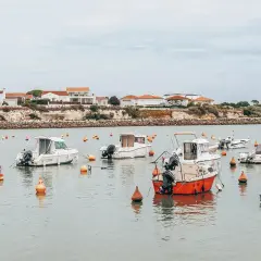 Bateaux au mouillage dans un port, une idée de ce que faire en Charente-Maritime.