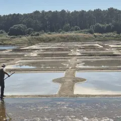 Un salinier travaille dans les marais salants de La Turballe, un paysage typique pour une randonnée.