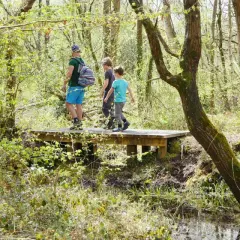Trois personnes profitent d'une randonnée à Granville, traversant un pont en bois dans une forêt verdoyante.