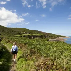 Randonnée sur le sentier côtier du GR Cotentin, avec vue sur la mer et les falaises verdoyantes.