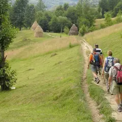Un groupe de randonneurs profite d'une belle randonnée en Roumanie, traversant des collines verdoyantes parsemées de meules de foin.