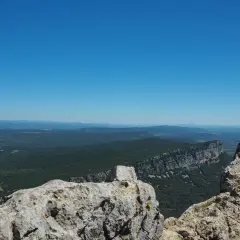 Vue panoramique depuis le pic Saint-Loup, avec une falaise imposante et une forêt verdoyante à perte de vue sous un ciel bleu éclatant.