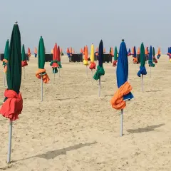 Des parasols colorés, bleus, verts, rouges et jaunes, sont alignés sur la plage de Deauville, prêts à accueillir les visiteurs.