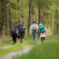 Trois randonneurs marchent sur un sentier forestier. Idéal pour randonner en novembre en France, la nature est verdoyante.