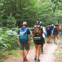 Un groupe de randonneurs explore un sentier forestier verdoyant dans les Yvelines, profitant d'une belle journée.