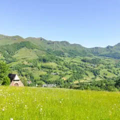 Champ fleuri au premier plan, avec une petite bâtisse en pierre et un arbre. Au loin, les collines verdoyantes et les montagnes de la vallée de la Jordanne sous un ciel bleu.