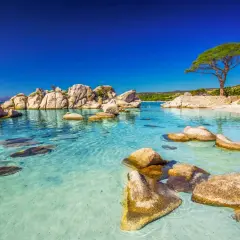 Eaux turquoise cristallines, rochers polis par le temps et un arbre solitaire sur une plage de sable fin. Un décor de rêve qui pourrait bien être la meilleur plage de France.