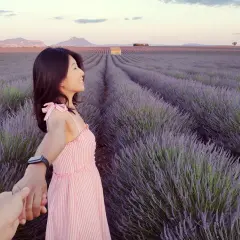 Une femme en robe rose tient la main de quelqu'un au milieu des champs de lavande du plateau de Valensole, au coucher du soleil.