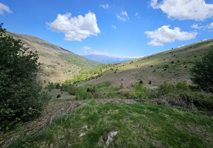 Vue panoramique de la vallée d'Oueil sous un ciel bleu éclatant, avec des montagnes lointaines et des pentes verdoyantes parsemées d'arbres.
