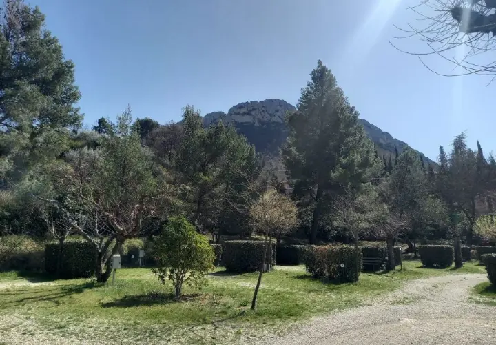 Paysage verdoyant des Baronnies Provençales sous un ciel bleu éclatant, avec des arbres, des buissons taillés et une montagne en arrière-plan.