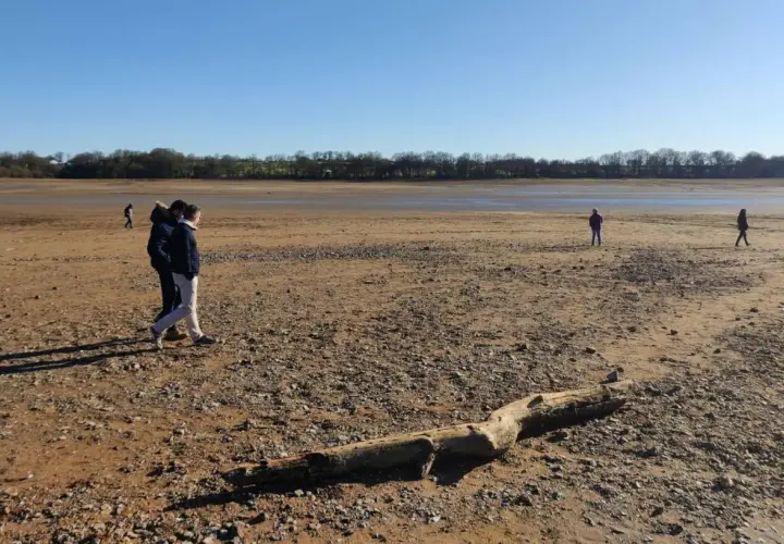 Des promeneurs explorent le lit asséché du lac de Vioreau, un paysage désertique sous un ciel bleu. Un tronc d'arbre repose sur le sable.