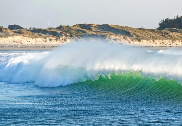 Vague verte et transparente, comme la pointe de la torche, déferlant sur une plage de sable et de dunes.