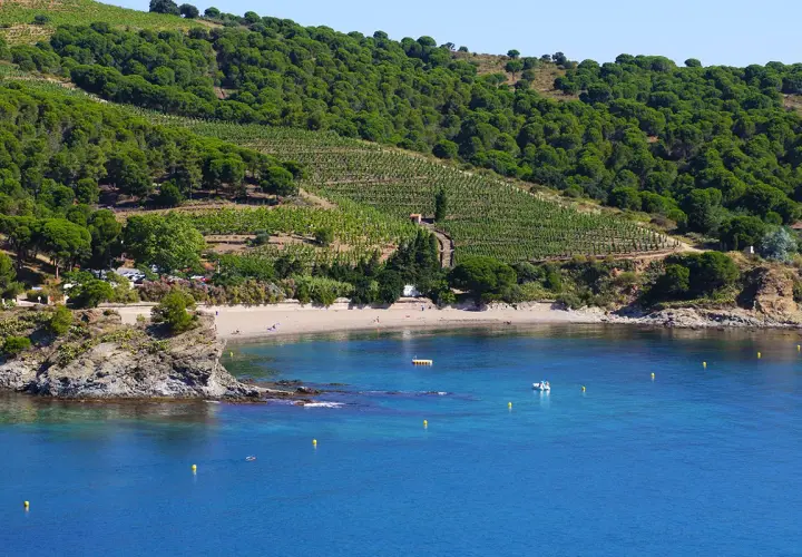 Vue sur la côte rocheuse et la plage, avec des vignobles en terrasses sur la colline. Un aperçu des étapes GR10 depuis Banyuls.