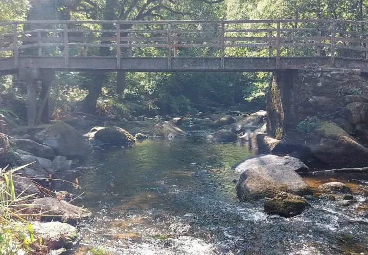 Pont en bois au-dessus d'une rivière rocheuse à Stangala Quimper, entouré de verdure luxuriante.