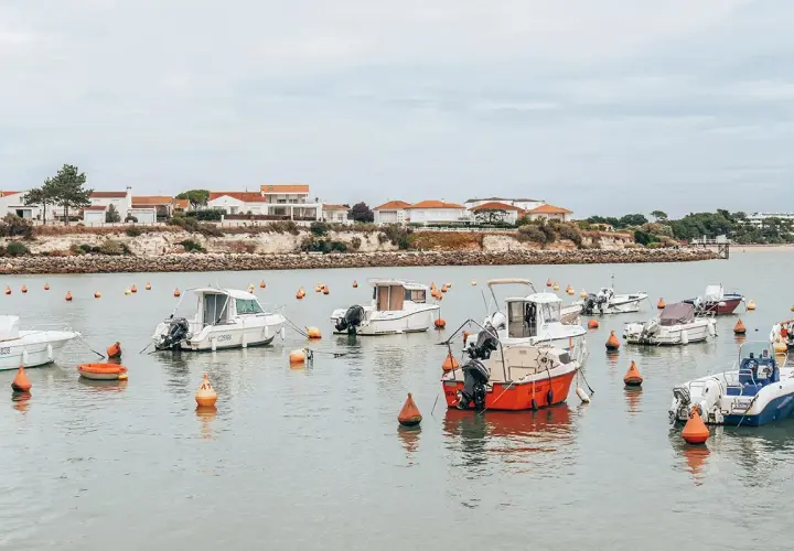 Bateaux au mouillage dans un port, une idée de ce que faire en Charente-Maritime.