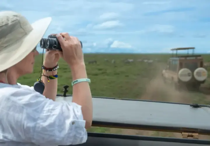Une femme en safari, jumelles à la main, observe des zèbres en Tanzanie. Une excellente idée de que faire en Tanzanie !