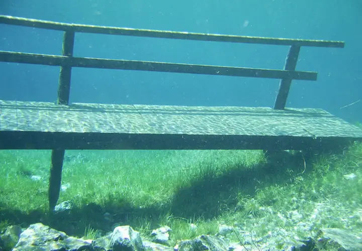 Ponton immergé dans un lac vert d'Autriche, la végétation aquatique luxuriante et les rayons du soleil créent une atmosphère féerique.