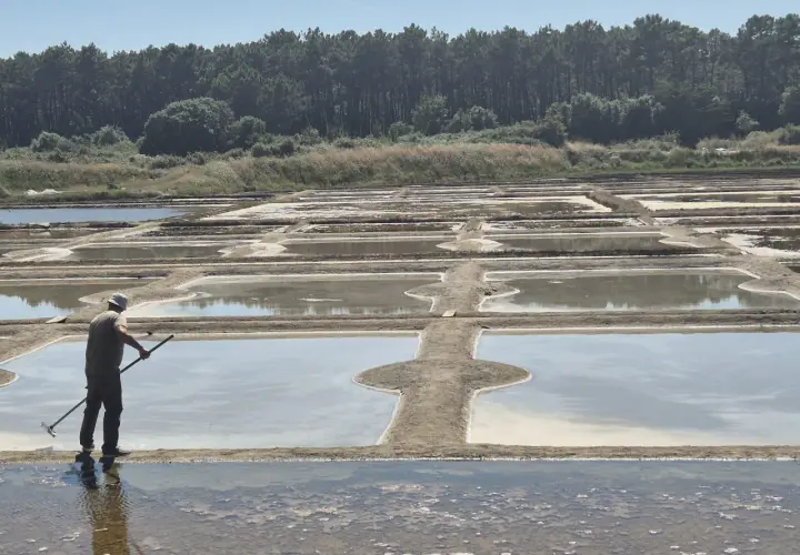 Un salinier travaille dans les marais salants de La Turballe, un paysage typique pour une randonnée.