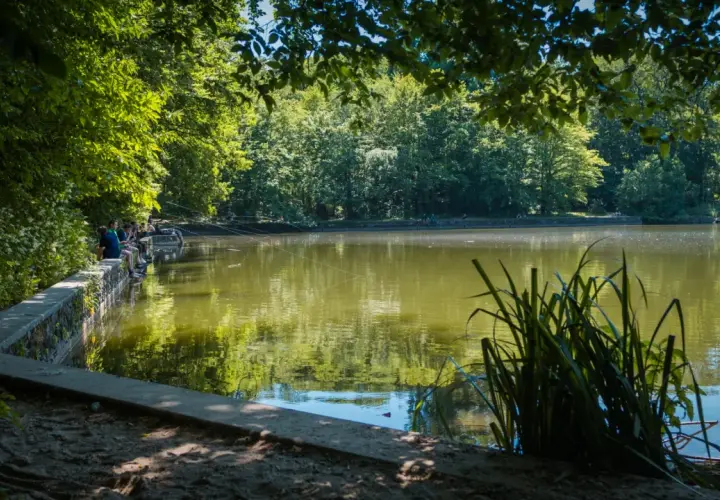 Journée paisible à l'étang de Meudon, où des pêcheurs profitent du calme au bord de l'eau, entourés de verdure luxuriante.