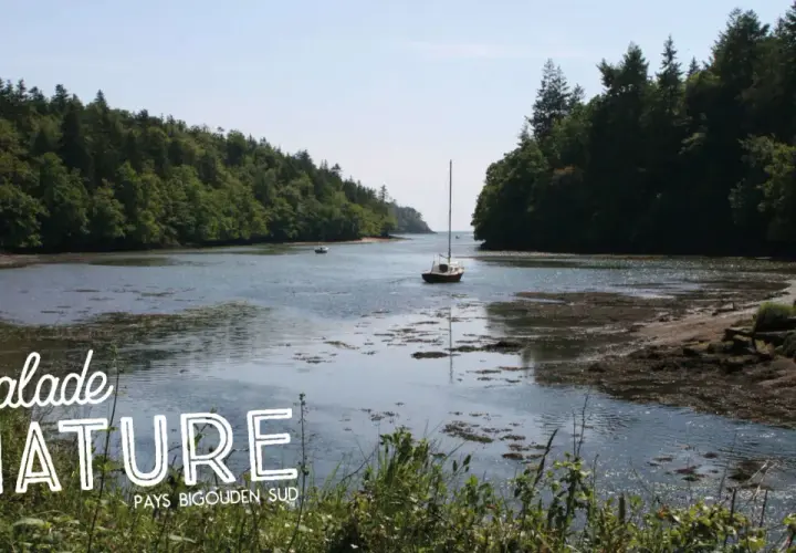 Balade nature dans le **bois de Roscouré**, un voilier navigue sur une rivière bordée de forêts luxuriantes.