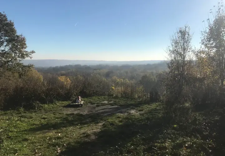 Vue panoramique sur la forêt de Marly par temps clair. Un banc solitaire invite à la contemplation du paysage vallonné.
