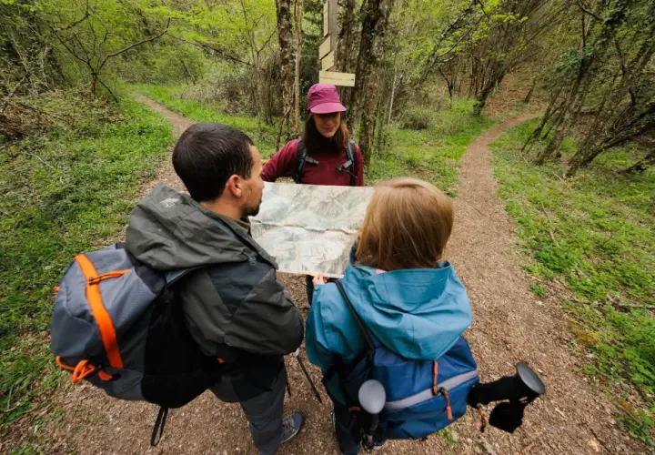 Trois randonneurs s'arrêtent à un carrefour pour lire une carte IGN et décider de leur chemin dans la forêt.
