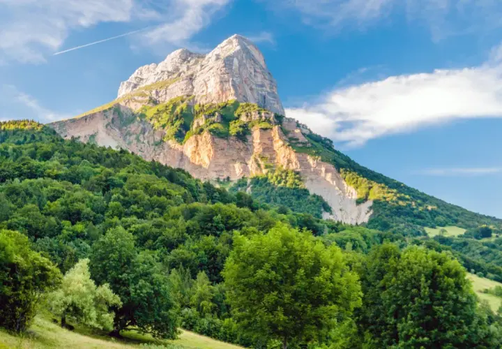 Vaste forêt verdoyante au pied d'une montagne majestueuse, un paysage qui pourrait bien être la plus belle forêt de France.