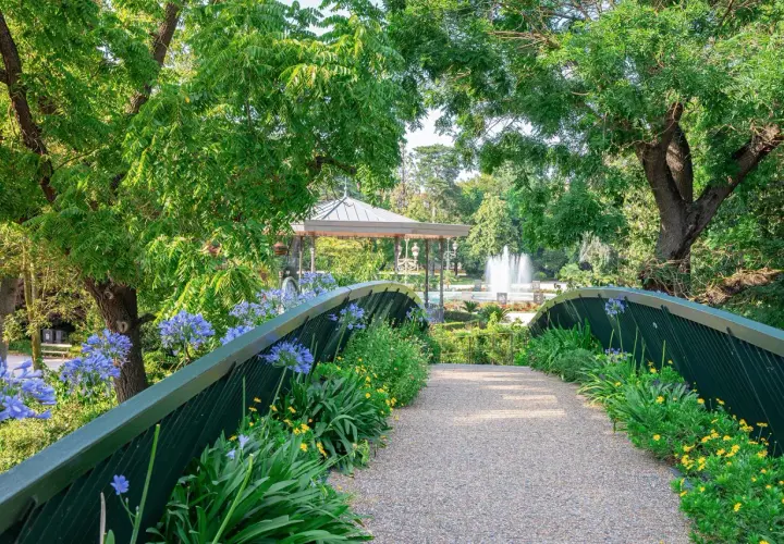 Un pont fleuri mène à un kiosque et une fontaine au jardin des plantes de Toulouse.