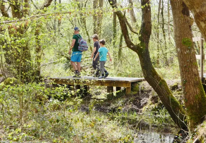Trois personnes profitent d'une randonnée à Granville, traversant un pont en bois dans une forêt verdoyante.