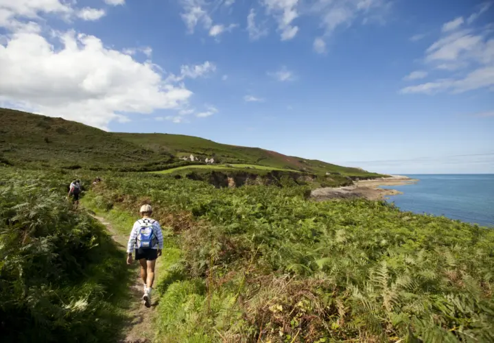 Randonnée sur le sentier côtier du GR Cotentin, avec vue sur la mer et les falaises verdoyantes.