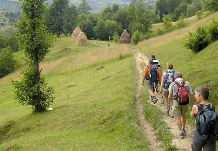 Un groupe de randonneurs profite d'une belle randonnée en Roumanie, traversant des collines verdoyantes parsemées de meules de foin.
