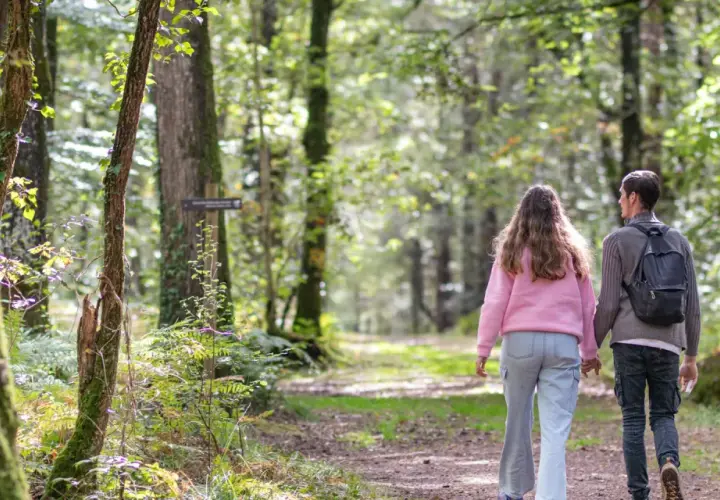 Couple en randonnée à Brocéliande, main dans la main sur un sentier forestier baigné de lumière.