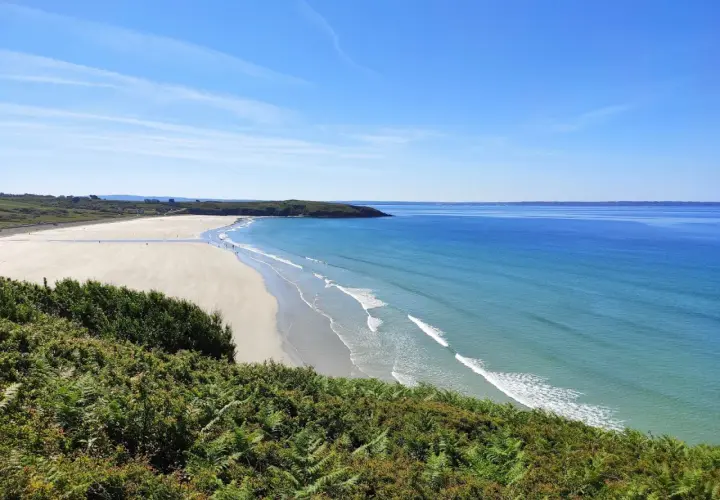 Vue panoramique d'une plage trez bellec, avec sable clair, mer bleue et végétation verdoyante au premier plan.