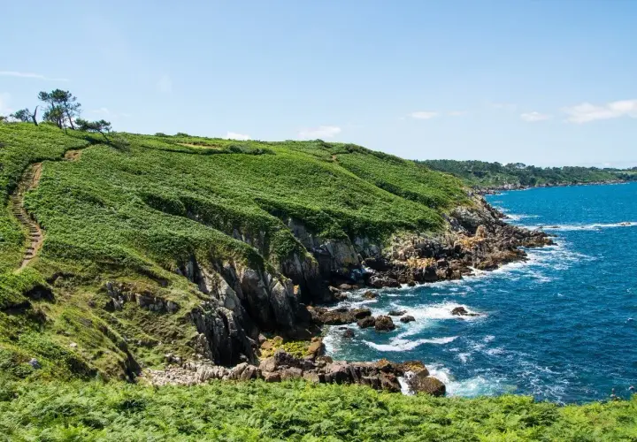 Sentier côtier verdoyant, le chemin des douaniers à Saint-Malo serpente le long de falaises rocheuses battues par la mer d'un bleu intense.