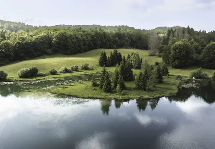 Vue aérienne d'un lac paisible dans le Jura, entouré de prairies verdoyantes et de forêts denses.