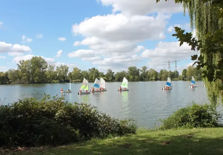 Plusieurs voiliers naviguent sur un lac paisible, un paysage typique du lac autour de Toulouse par une journée ensoleillée.