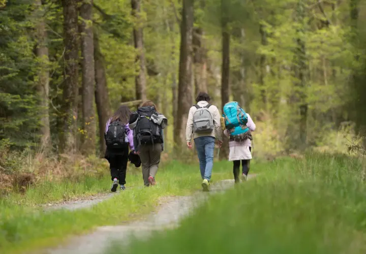 Trois randonneurs marchent sur un sentier forestier. Idéal pour randonner en novembre en France, la nature est verdoyante.