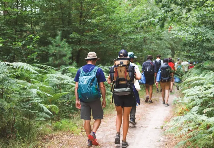 Un groupe de randonneurs explore un sentier forestier verdoyant dans les Yvelines, profitant d'une belle journée.