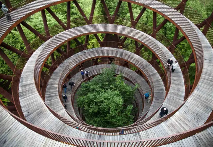 Une promenade en spirale en bois dans une forêt, une idée de que faire au Danemark pour admirer la nature d'en haut.