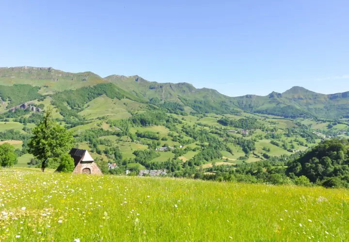 Champ fleuri au premier plan, avec une petite bâtisse en pierre et un arbre. Au loin, les collines verdoyantes et les montagnes de la vallée de la Jordanne sous un ciel bleu.