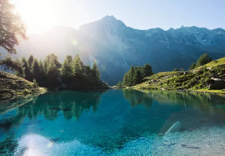 Un lac suisse aux eaux cristallines reflète les montagnes majestueuses et les pins verts sous un soleil radieux.