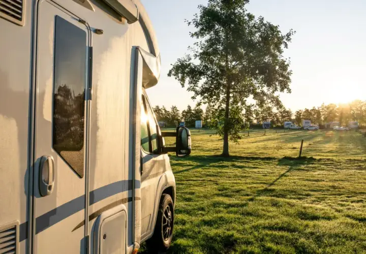 Un camping-car est garé dans une aire de camping-car, avec d'autres véhicules et un arbre au soleil levant.