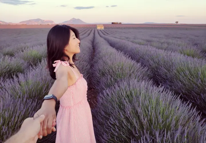 Une femme en robe rose tient la main de quelqu'un au milieu des champs de lavande du plateau de Valensole, au coucher du soleil.