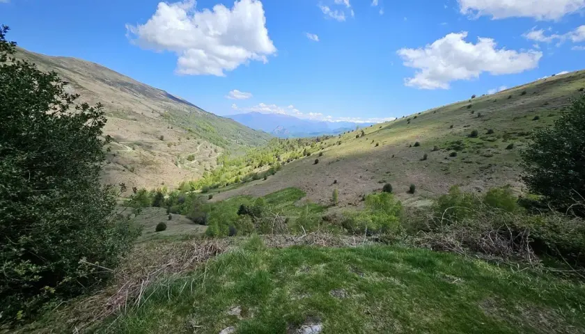 Vue panoramique de la vallée d'Oueil sous un ciel bleu éclatant, avec des montagnes lointaines et des pentes verdoyantes parsemées d'arbres.